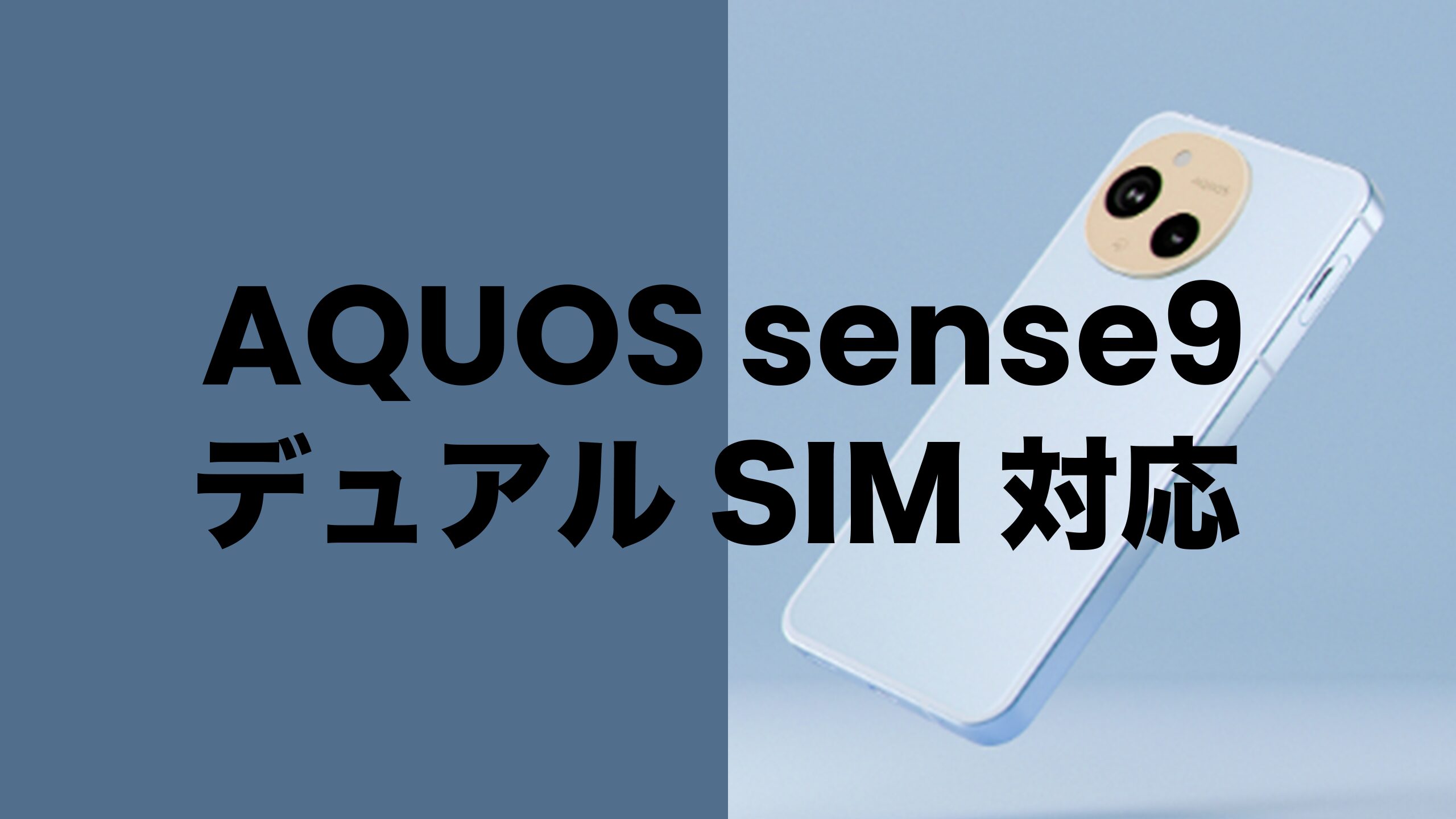AQUOS sense9はデュアルSIMに対応。eSIMと組み合わせて2回線同時利用。